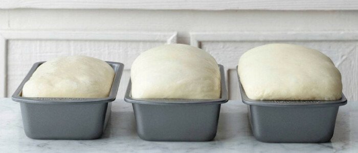 How Yeast Makes Bread Rise and More